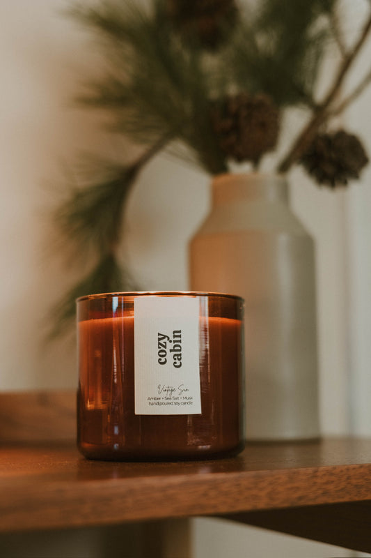 Cozy Cabin 3 Wick Jar